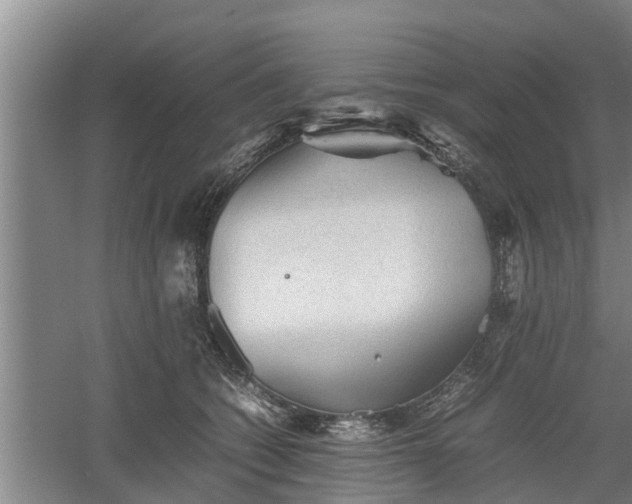 X0000060550562200511101540