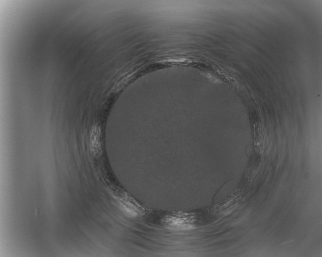 X0000060550563200511101540