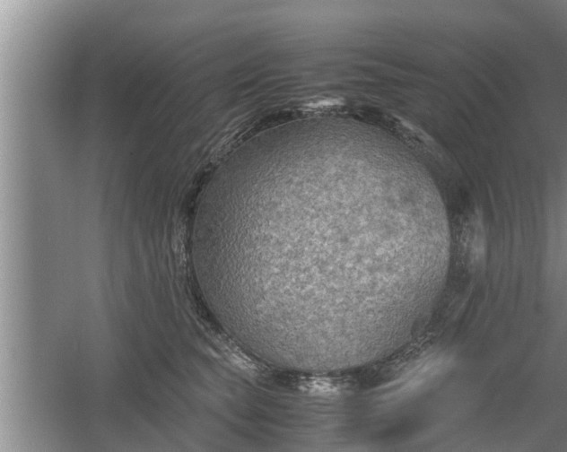 X0000060550565200511101540