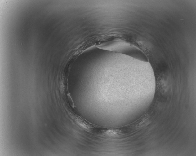 X0000060550566200511101540