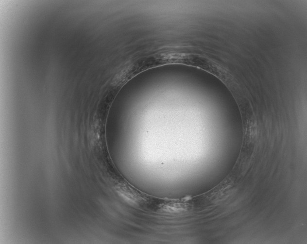 X0000060550567200511101540