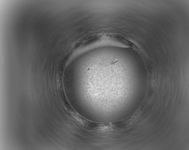 X0000060550569200511101540