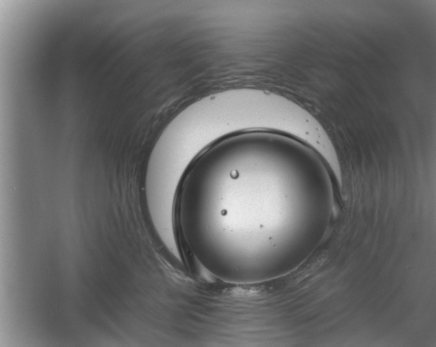 X0000060550570200511101540