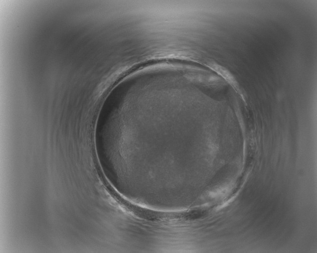 X0000060550577200511101540