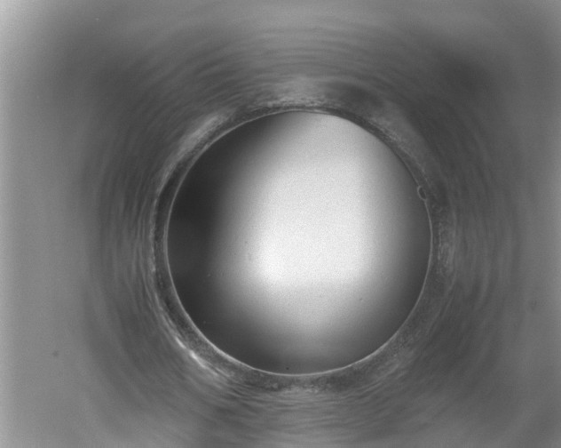 X0000060550578200511101539