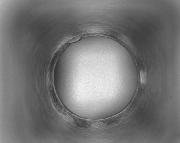 X0000060550579200511101539