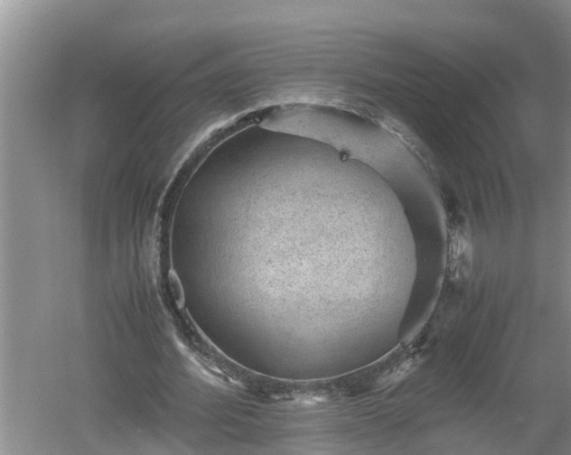 X0000060550580200511101539