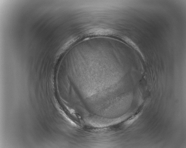 X0000060550581200511101539