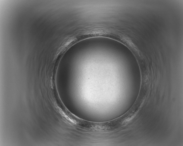 X0000060550585200511101539