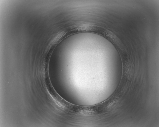 X0000060550586200511101539