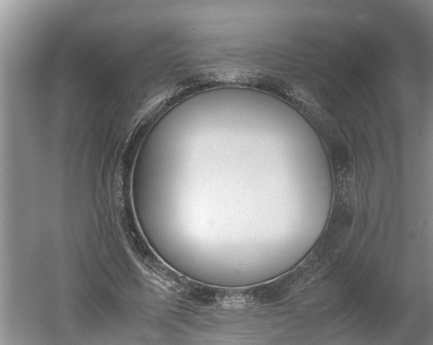 X0000060550587200511101539