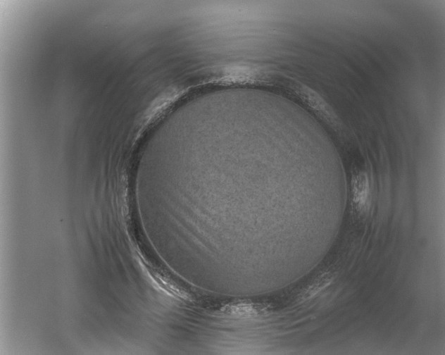 X0000060550588200511101539