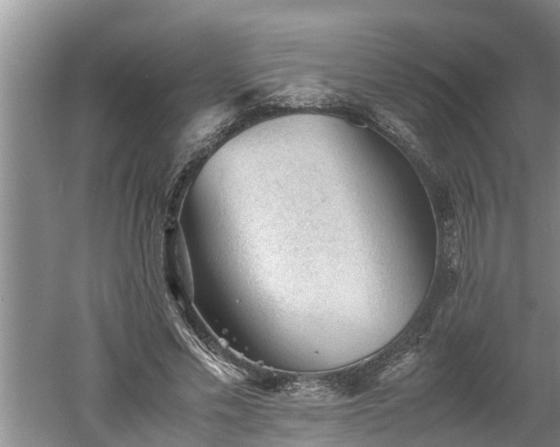 X0000060550589200511101539