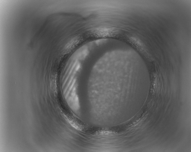 X0000060550590200511101539