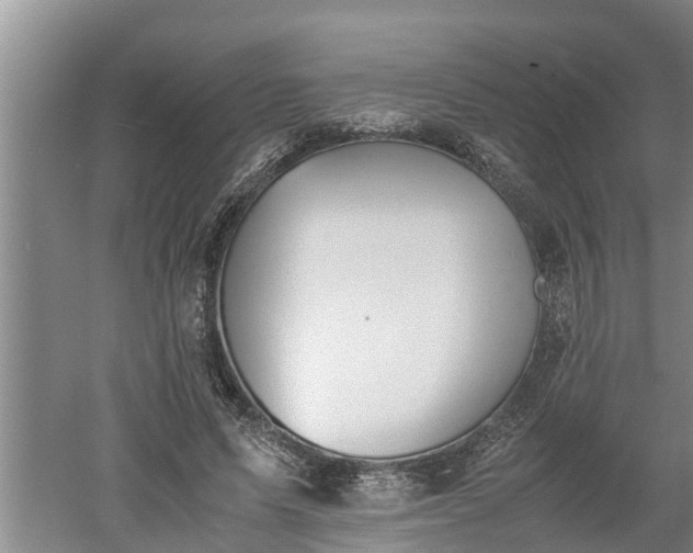 X0000060550591200511101539