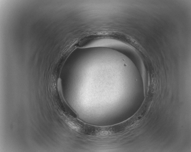 X0000060550593200511101539