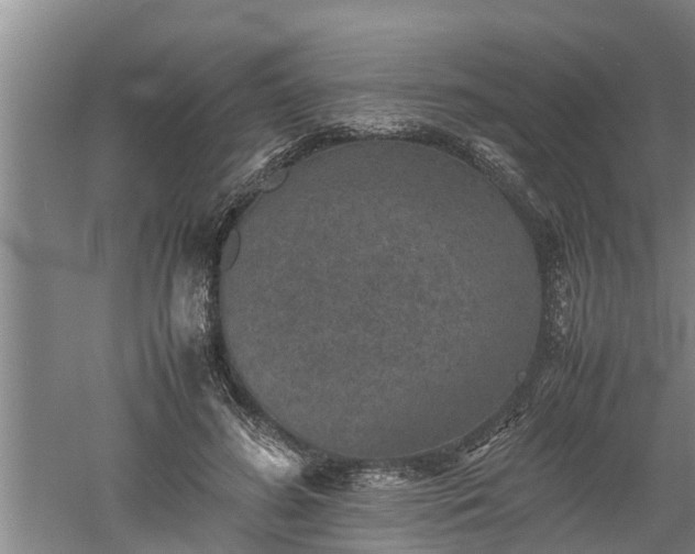 X0000060550596200511101539