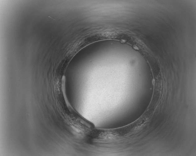 X0000060550597200511101539