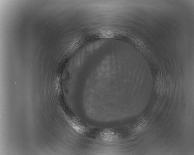 X0000060550598200511101539