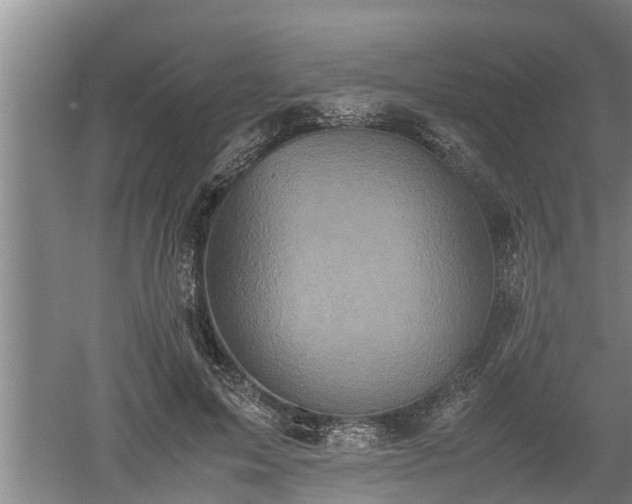 X0000060550599200511101539