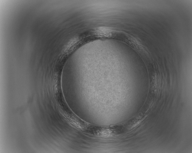 X0000060550600200511101539