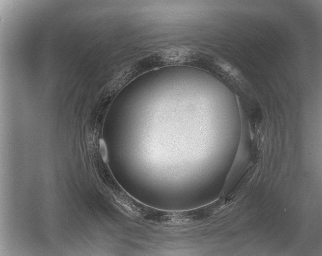 X0000060550601200511101539