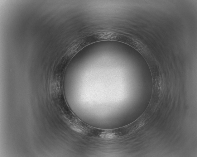 X0000060550602200511101539