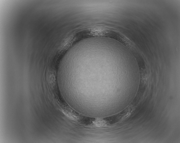 X0000060550603200511101539