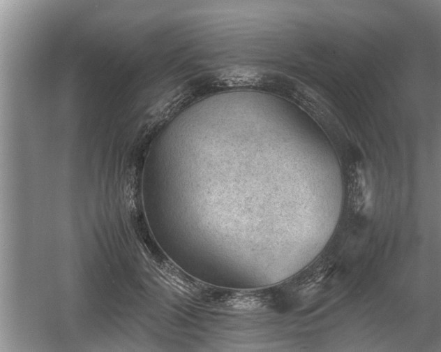 X0000060550604200511101539