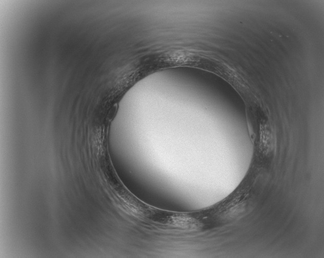 X0000060550605200511101539