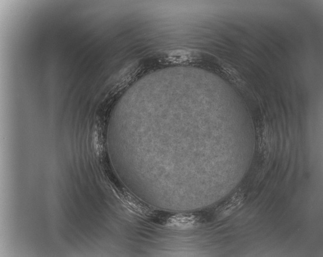 X0000060550606200511101539