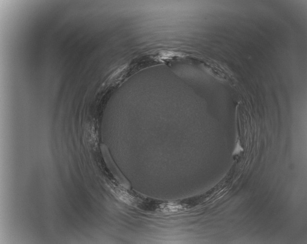 X0000060550607200511101539