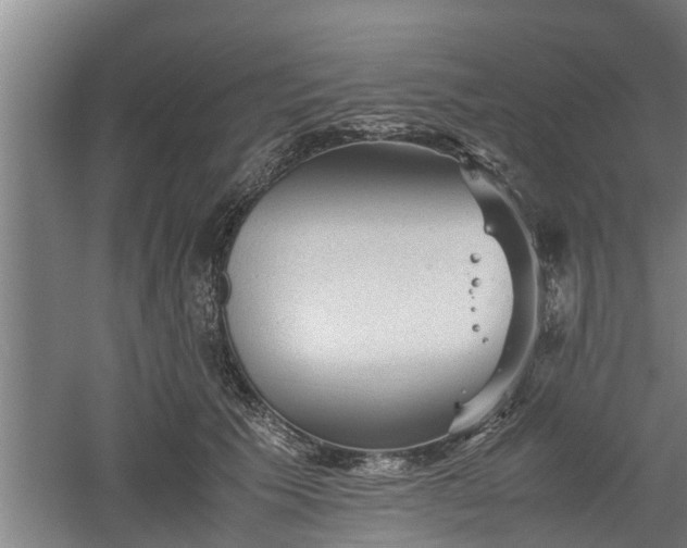 X0000060550609200511101539