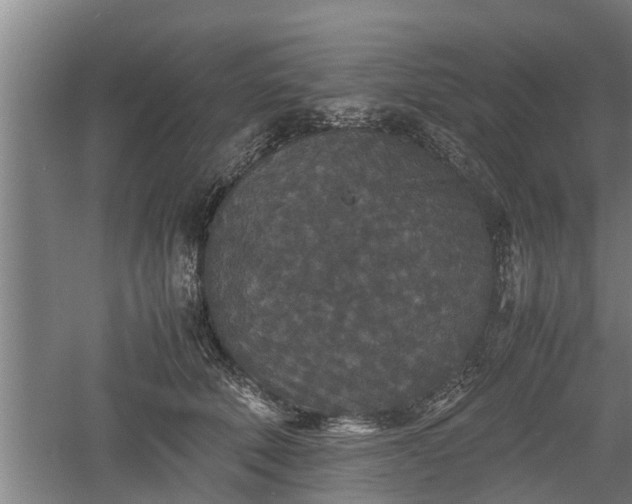 X0000060550610200511101539