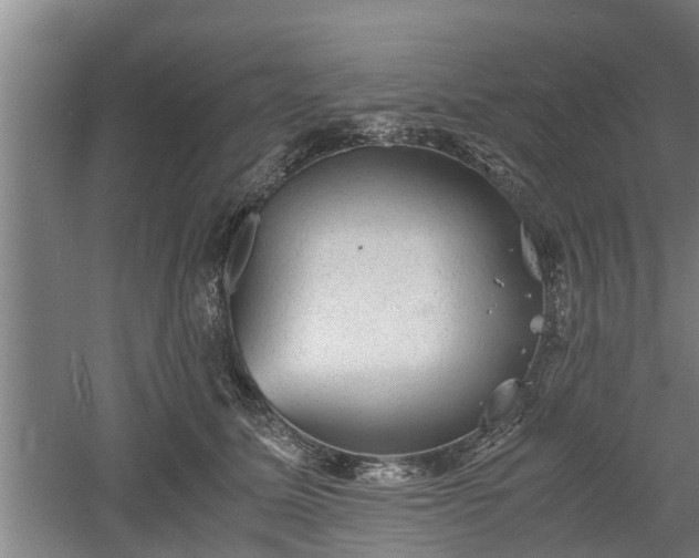 X0000060550611200511101539