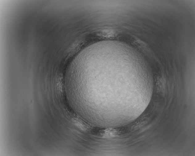 X0000060550612200511101539