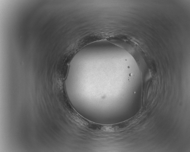 X0000060550613200511101539