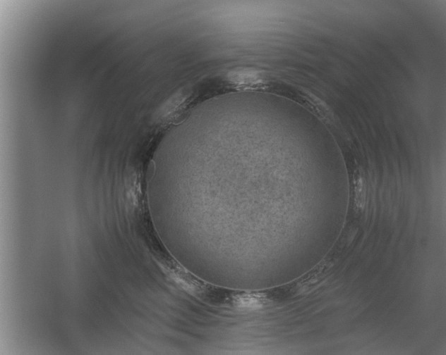 X0000060550618200511101539