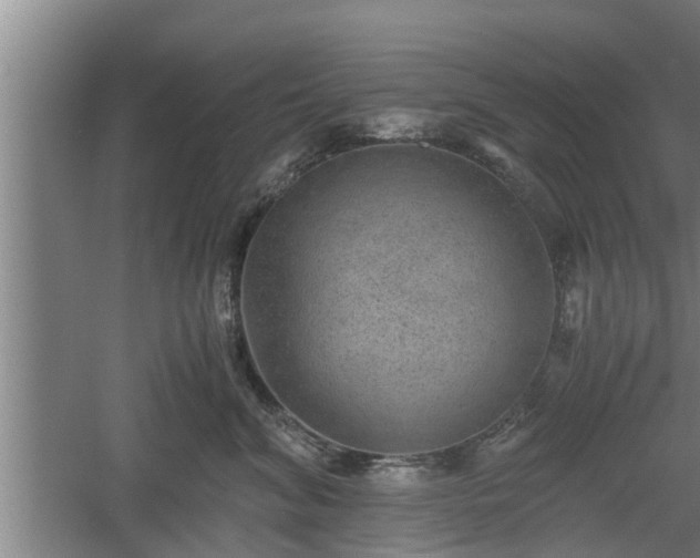 X0000060550620200511101539