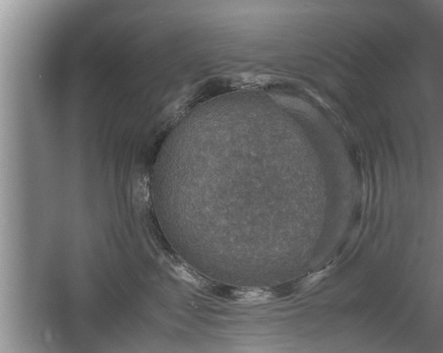 X0000060550621200511101539