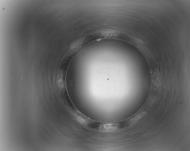 X0000060550622200511101539