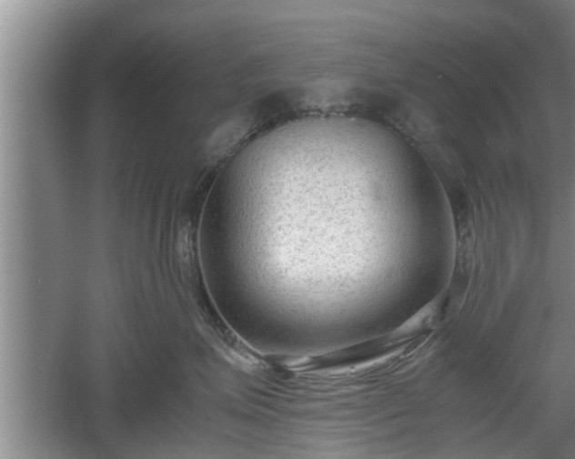 X0000060550623200511101539