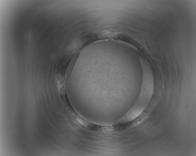 X0000060550624200511101539