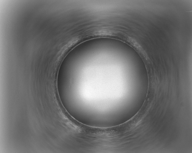 X0000060550625200511101538