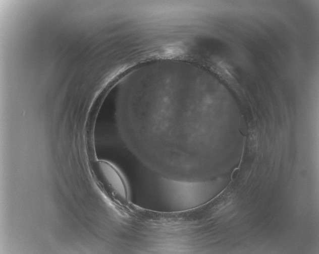 X0000060550626200511101538