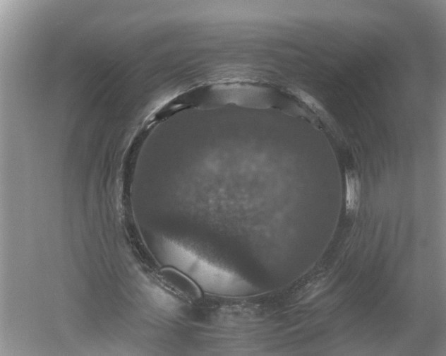 X0000060550627200511101538