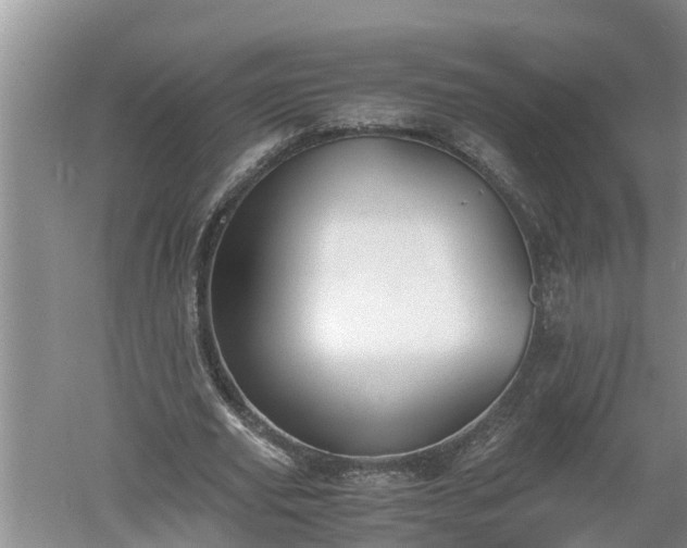 X0000060550629200511101538