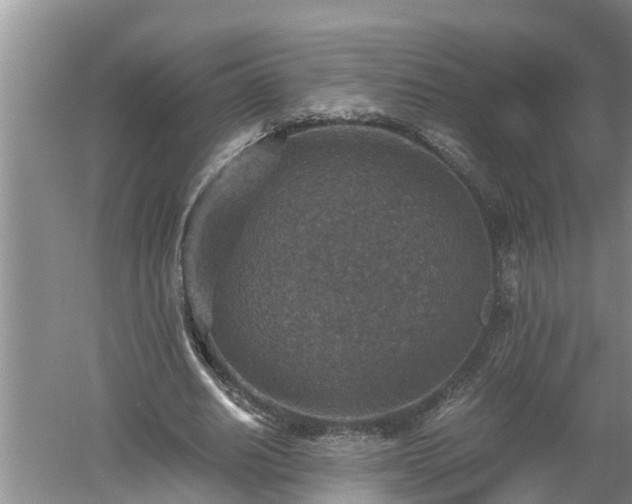 X0000060550630200511101538