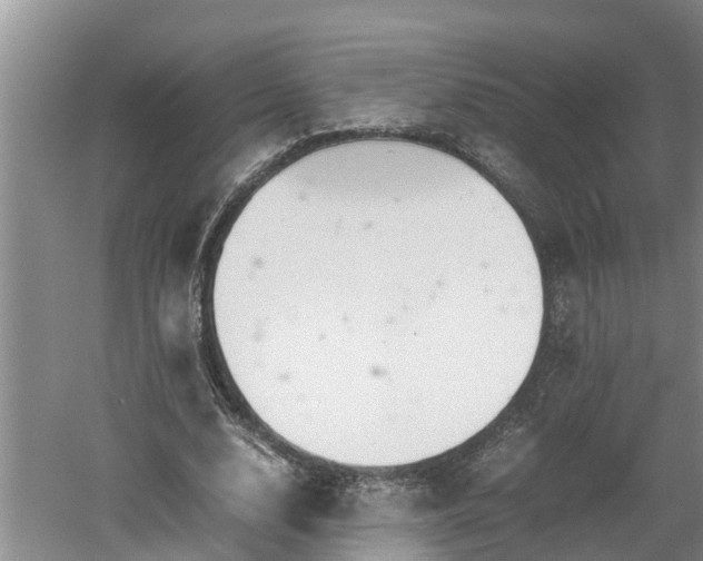 X0000060550632200511101538