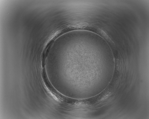 X0000060550634200511101538